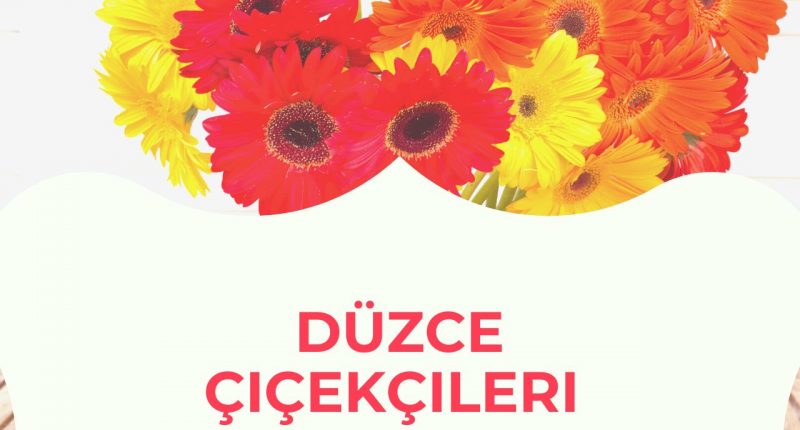 duzce-cicekcileri